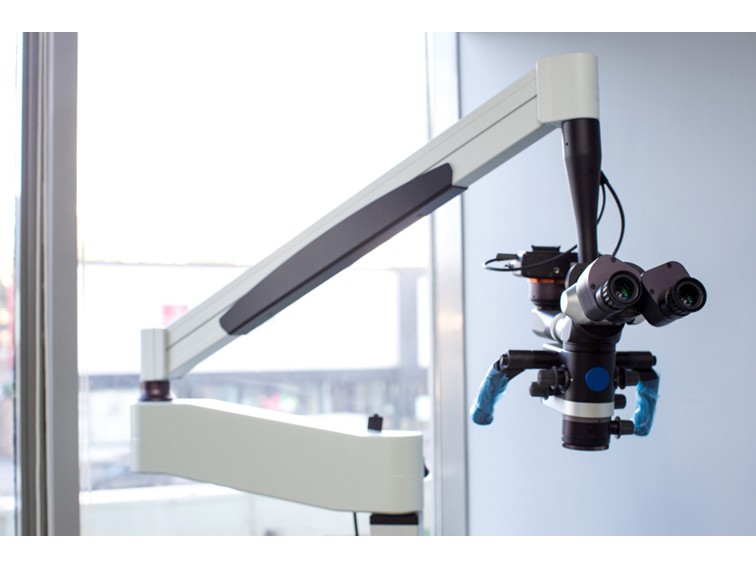 hip and knee replacement